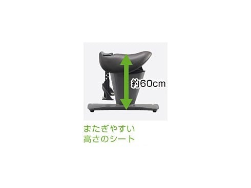 ヨドバシ.com - パナソニック Panasonic EU-JA30-T [乗馬