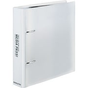 CD/DVD用 2穴ファイル MEDIA PASS トールサイズ クリア EDF-DME10T