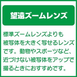 ヨドバシ.com - パナソニック Panasonic H-FS045200 LUMIX G