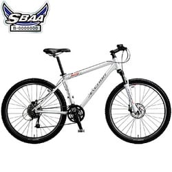自転車(26型) スターリングホワイト ANCHOR SPORT(アンカースポーツ) FR946 1B96XAANCHOR FR900