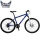 自転車（26型） アイリスブルー ANCHOR SPORT（アンカースポーツ） FR946 1B96XBANCHOR FR900