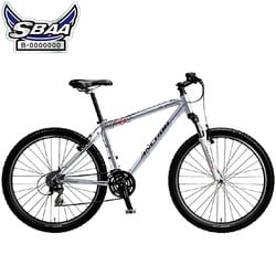 自転車（26型） スパークルシルバー ANCHOR SPORT（アンカースポーツ） FR738 1B96YAANCHOR FR700
