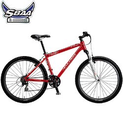 自転車（26型） ファイヤーレッド ANCHOR SPORT（アンカースポーツ） FR738 1B96YCANCHOR FR700