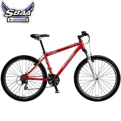 自転車（26型） ファイヤーレッド ANCHOR SPORT（アンカースポーツ） FR742 1B96ZCANCHOR FR700