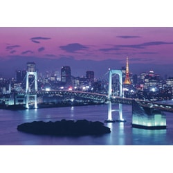 ヨドバシ Com エポック社 Epoch 25 108 ジグソーパズル めざせパズルの達人 東京夜景 東京 300ピース 通販 全品無料配達