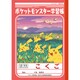 ポケモンDP 国語15マス