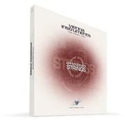 VI APPASSIONATA STRINGS / STANDARD