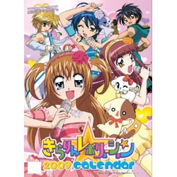 2009 カレンダー きらりん☆レボリューション