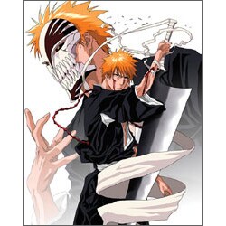 2009 カレンダー BLEACH(B) 過去篇