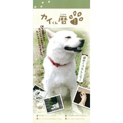 2009 カレンダー カイくん暦 (お父さん)