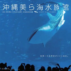 2009 カレンダー 沖縄美ら海水族館