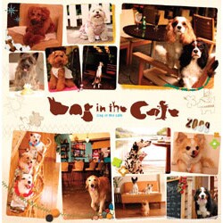 2009 カレンダー Dog in The Caf?