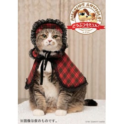 2009 カレンダー どうぶつ奇想天外でぶねこ“ぴやちゃん”