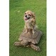 2009 カレンダー ゆかいな動物スター(湘南動物プロダクション)