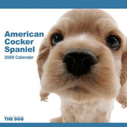 2009 カレンダー THE DOG アメリカン・コッカー・スパニエル