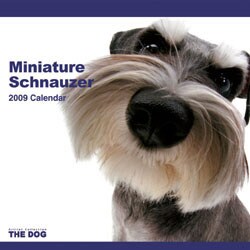 2009 カレンダー THE DOG ミニチュア・シュナウザー