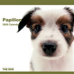 2009 カレンダー THE DOG パピヨン