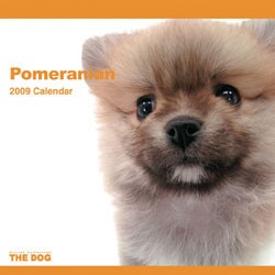 2009 カレンダー THE DOG ポメラニアン