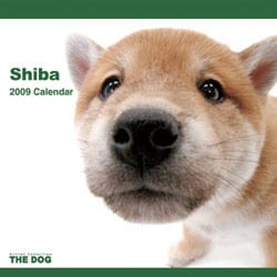 2009 カレンダー THE DOG 柴