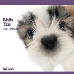 2009 カレンダー THE DOG シー・ズー