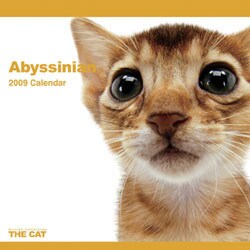 2009 カレンダー THE CAT アビシニアン