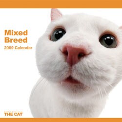 2009 カレンダー THE CAT ミックス