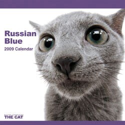 2009 カレンダー THE CAT ロシアン・ブルー
