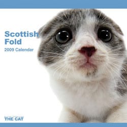 2009 カレンダー THE CAT スコティッシュ・フォールド