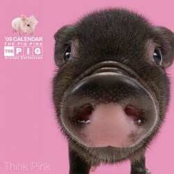 2009 カレンダー THE PIG PINK