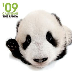 2009 カレンダー THE PANDA