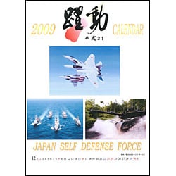 2009 カレンダー 陸・海・空自衛隊『躍動』