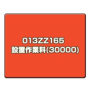 CANONサービス 013ZZ165　設置作業料(30000)