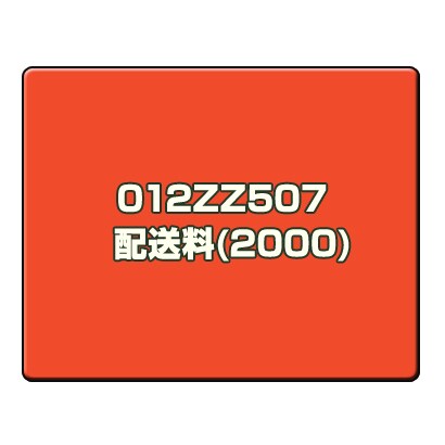 配送料(2000) 012ZZ507　