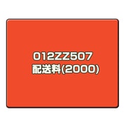 配送料(2000) 012ZZ507　