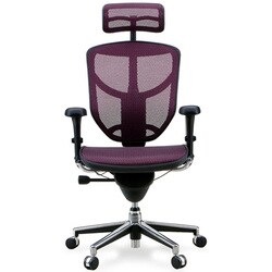 ヨドバシ.com - エルゴヒューマン Ergohuman ENJOY（エンジョイ） OAチェア 肘付き ハイタイプ エラストメリック・メッシュ  レッド EJ-HAM RD (KM-12) 通販【全品無料配達】