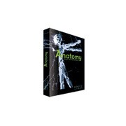 ANATOMY KONTAKT2 ANTMY [サンプリング素材]