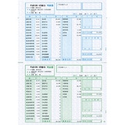 給与・賞与明細書 明細型 500枚 SR210
