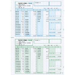 給与・賞与明細書 明細型 100枚 SR2101