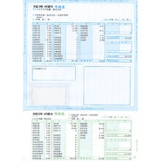 給与・賞与明細書 封筒型 100枚 SR2111