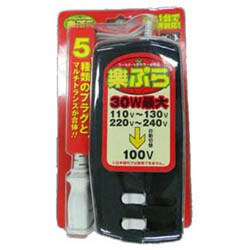 RX30 [楽ぷら 変圧器 マルチダウントランス]