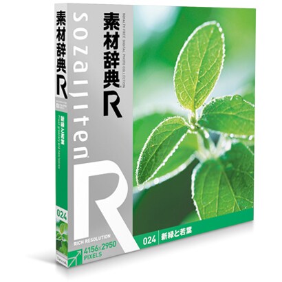 素材辞典[R(アール)] 024 新緑と若葉 [Windows/Mac]