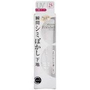 フレッシェルホワイトC クイックハイカバーベース [下地料・補正料]