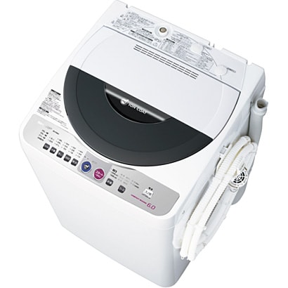 簡易乾燥機能付き洗濯機（6.0kg） グレー系 ES-FG60J-H