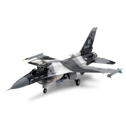 ムスタング様　1/48 タミヤF-16CN ムスタング様1/48 タミヤF-16CN