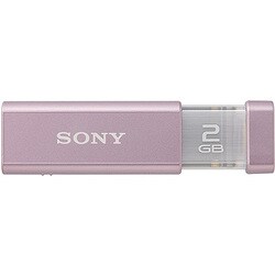 USBフラッシュメモリ ポケットビット ローズピンク 2GB USM2GL-P