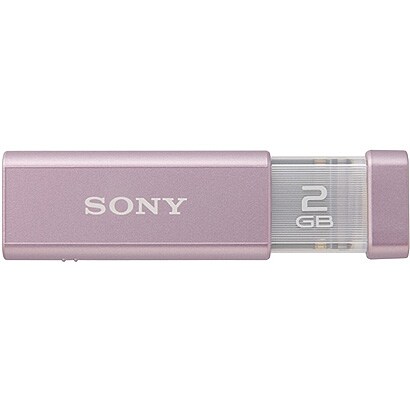 USBフラッシュメモリ ポケットビット ローズピンク 2GB USM2GL-P