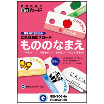 これなあに？カード 「もののなまえ」