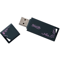 USB2.0/1.1対応 フラッシュメモリ フェリチタシリーズ 2GB ブラック RUF2-KW2GL-BK