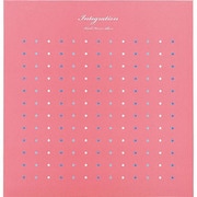 フエルアルバムDigio インテグレーション 100年台紙 Lサイズ ピンク LDH-1001-P