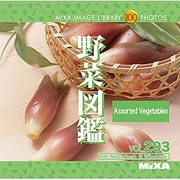 MIXA IMAGE LIBRARY Vol.293 野菜図鑑 [Windows/Mac]